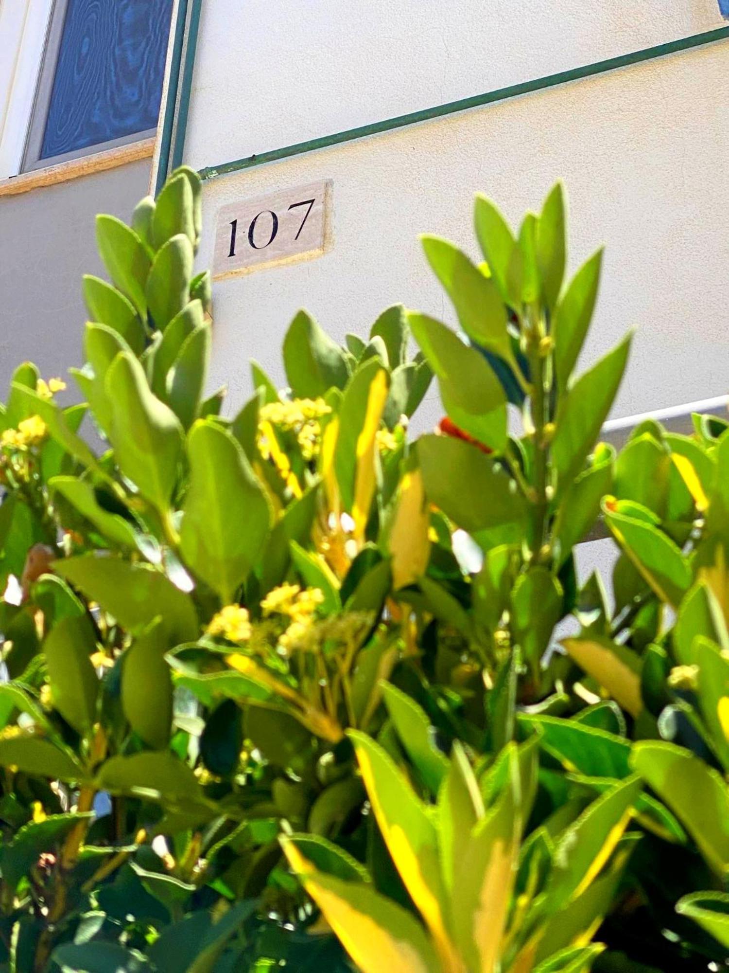 Apartment 107 - Roma Fiumicino Buitenkant foto